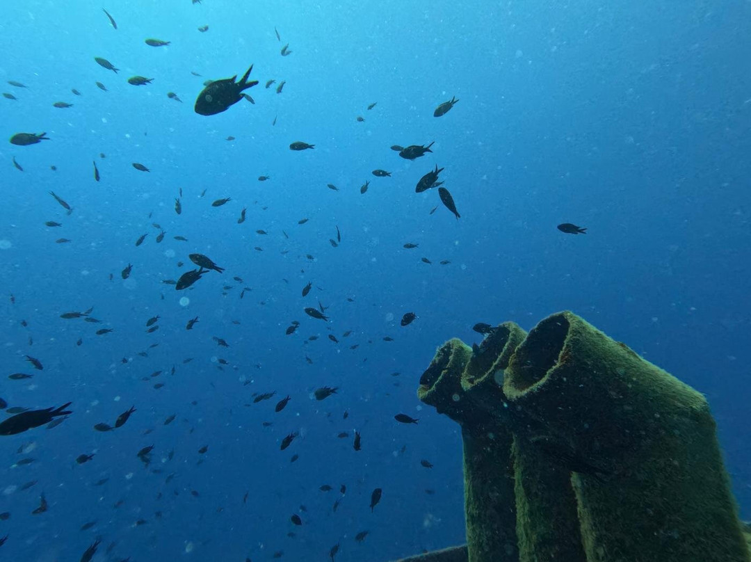 Orangeshark Diving Centre-梅雷赫必去景点