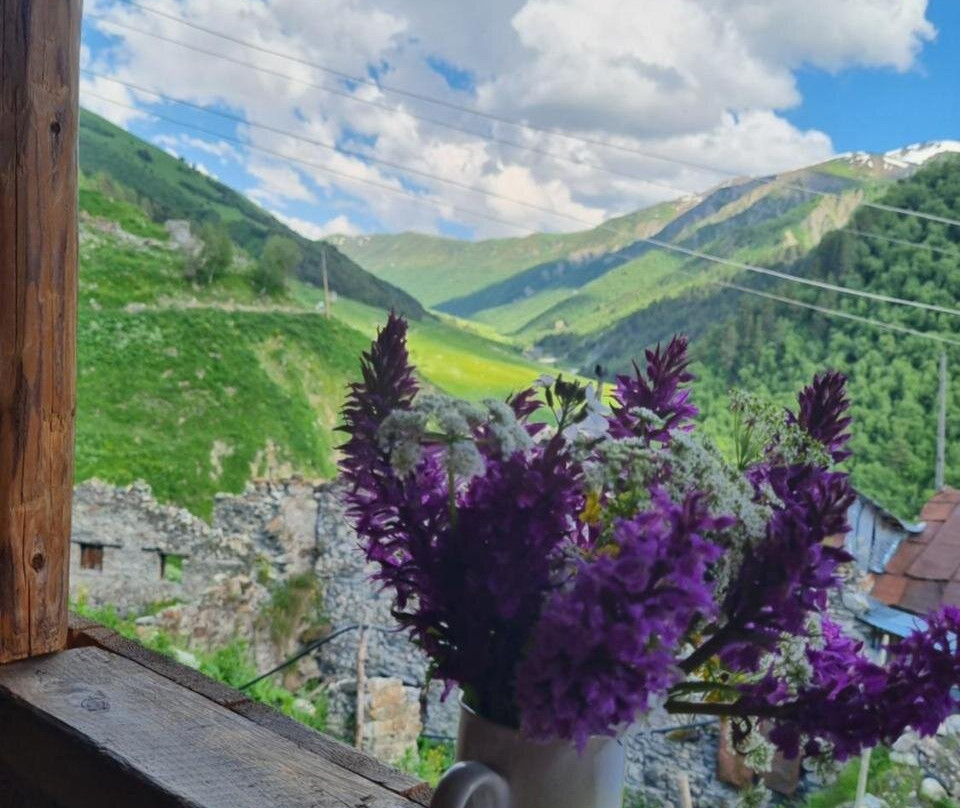 Koba Qaldanis Guest House主图