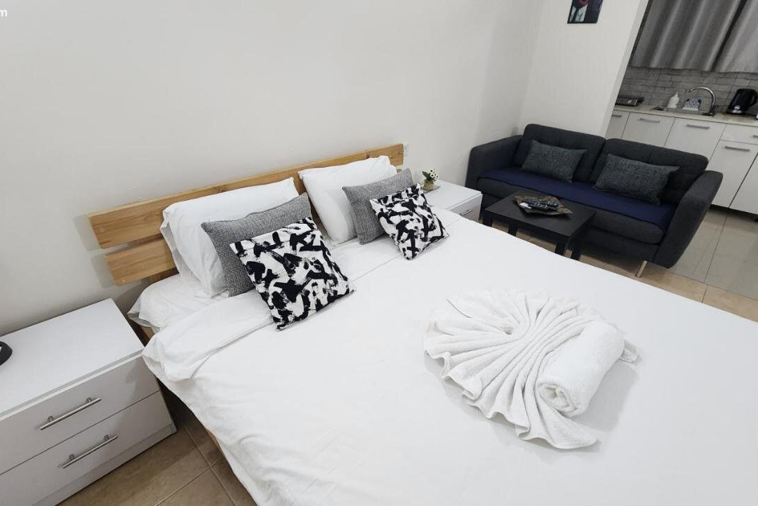 David Hameleh House主图