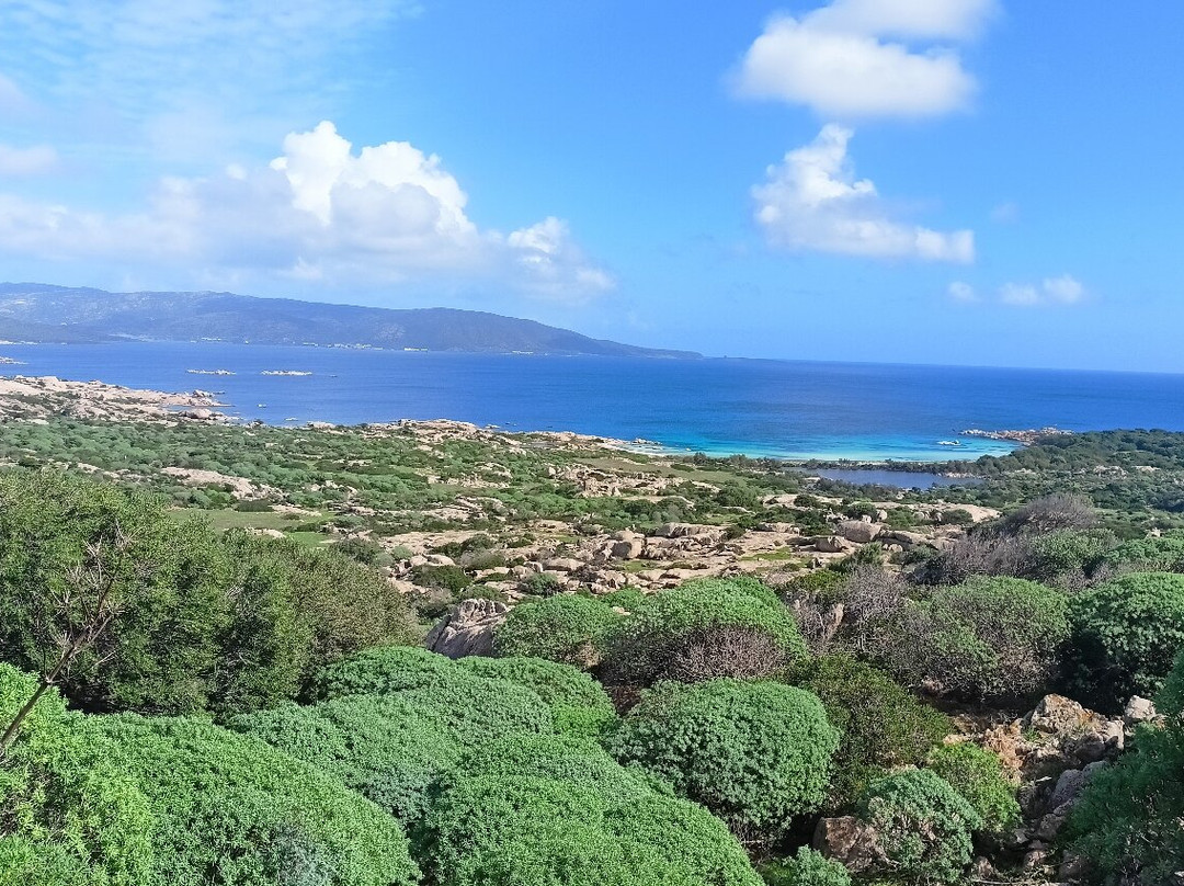 Wild Asinara Park-萨萨里省必去景点