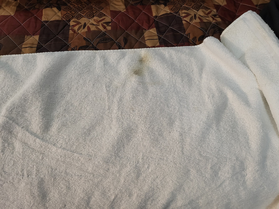 Big South Fork Trail Lodge主图