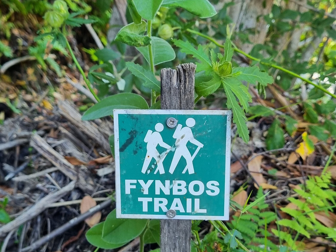 Fynbos Trail-干斯拜必去景点