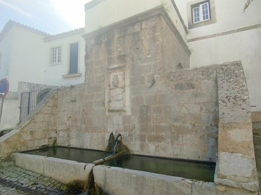 A Ginjinha d'Castelo de Ourem景点图片