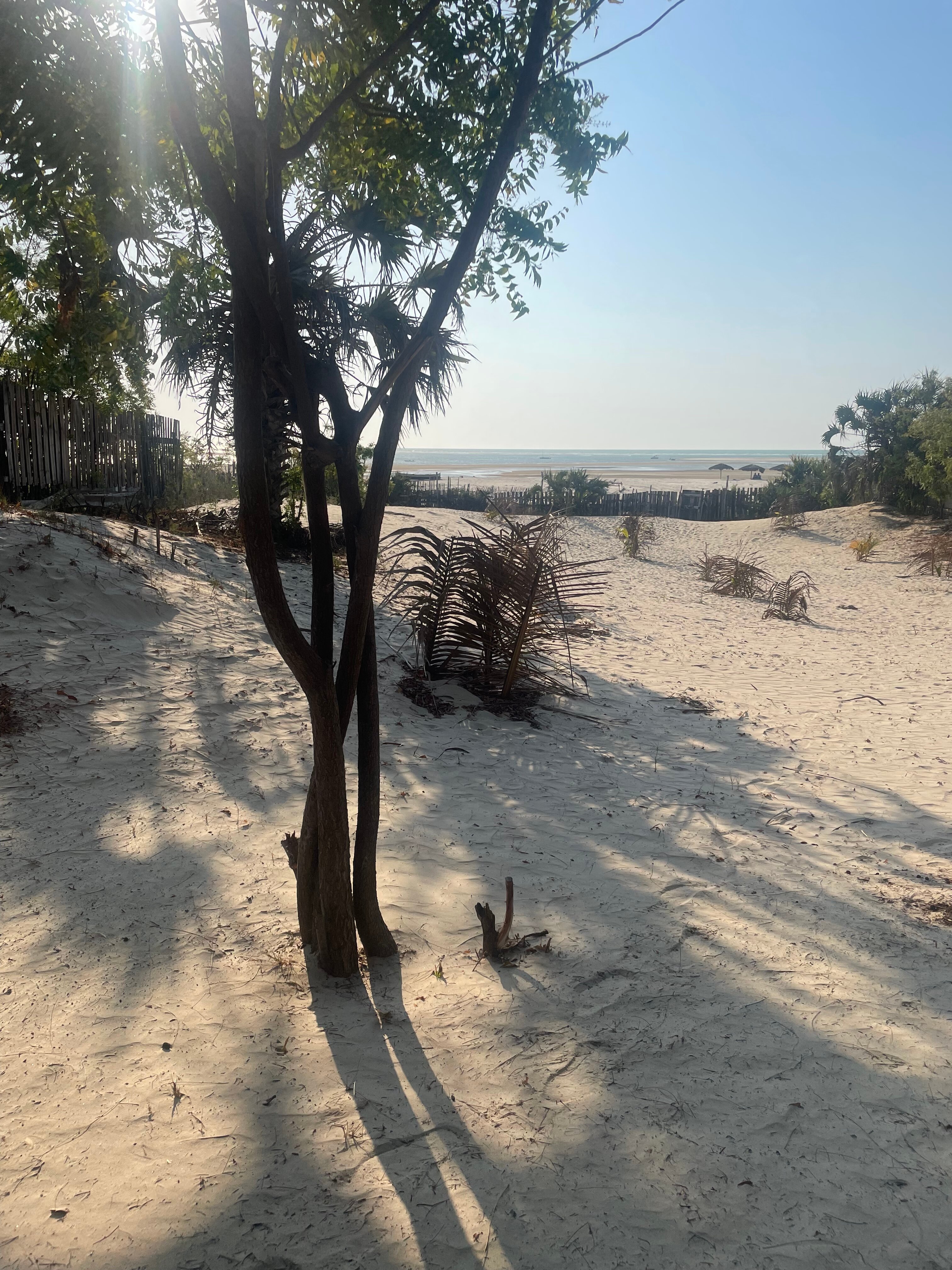 Le Sun-Beach-官方