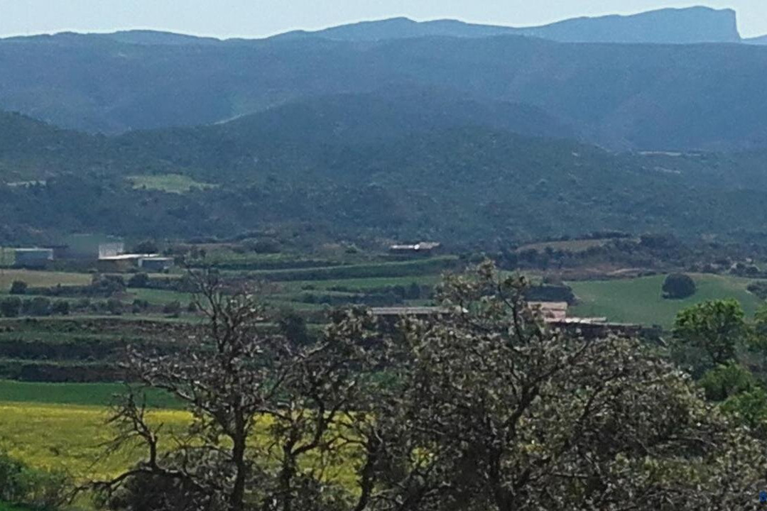 Casa Rosalia