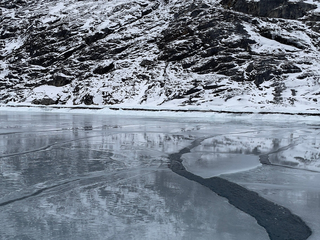 Nuuk Water Taxi A/s景点图片