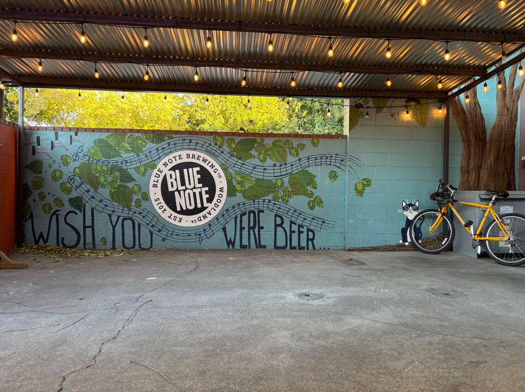 Blue Note Brewing Company景点图片