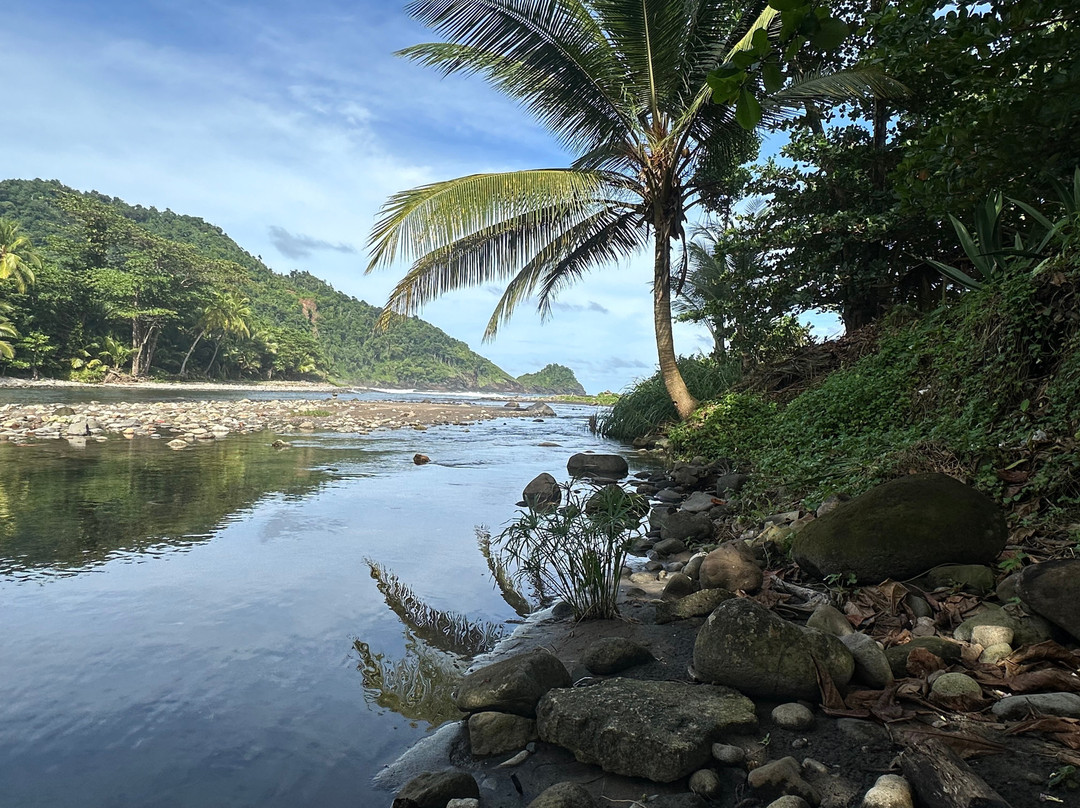 Rosalie Bay Eco Resort & Spa主图