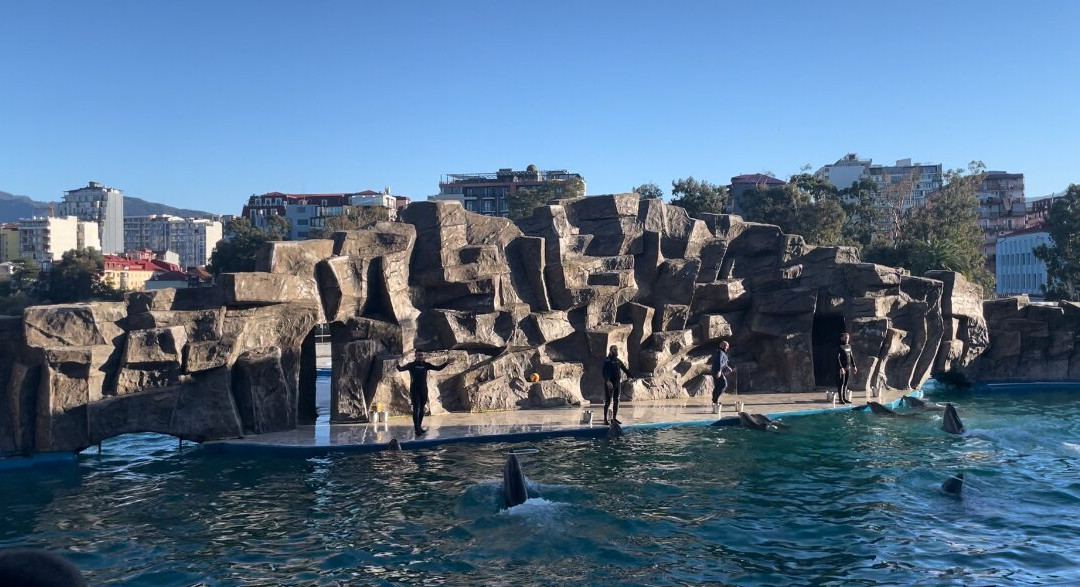 Batumi Dolphinarium-巴统必去景点