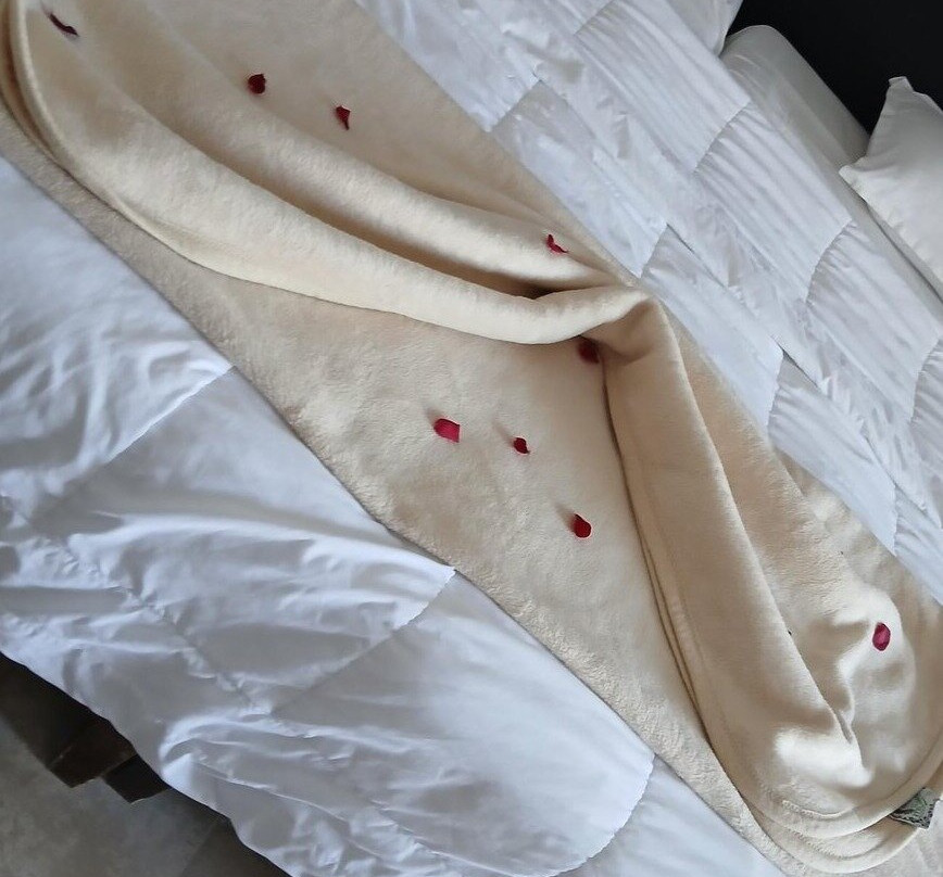 伊波罗之星索拉利亚酒店主图