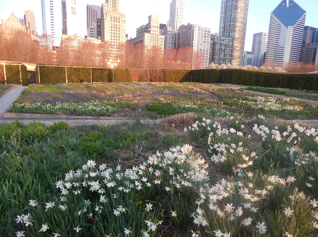 Lurie Garden景点图片