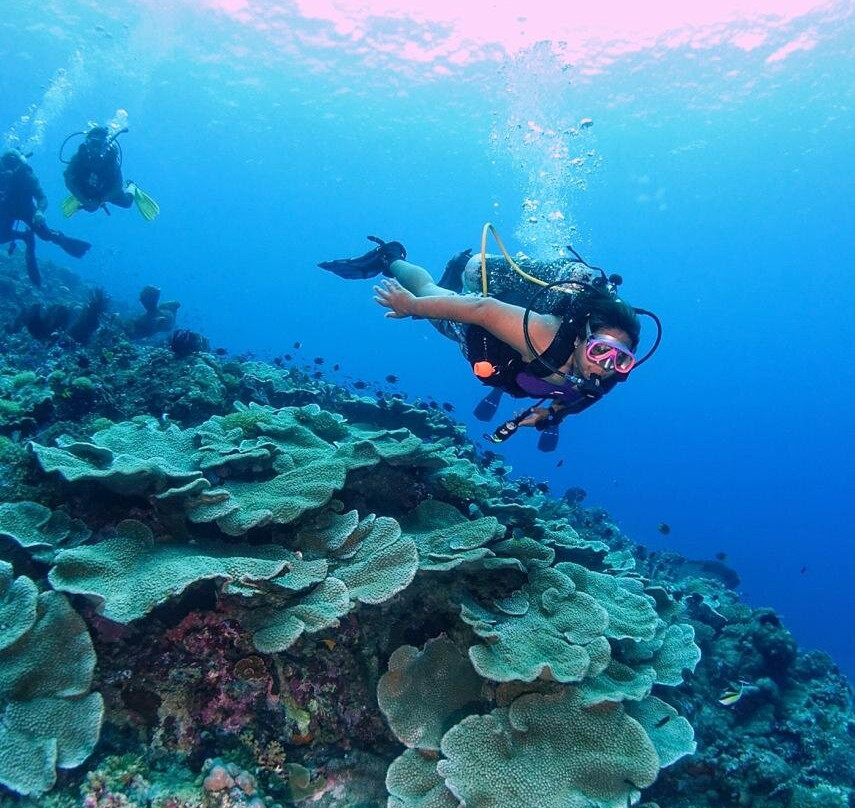 Parigi Moutong Dive Resort景点图片