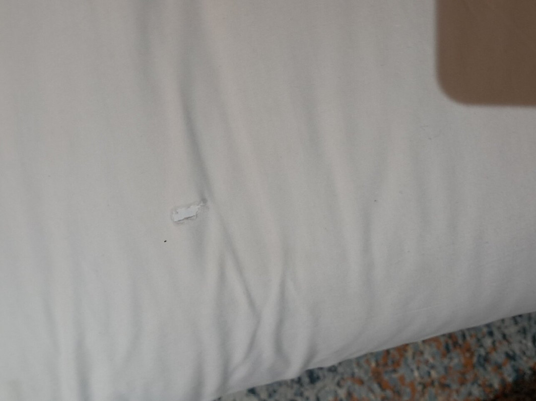 Hôtel Belle Vue & Spa主图