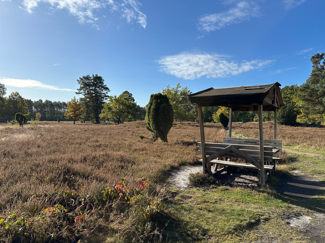 Oldendorfer Totenstatt-Oldendorf必去景点