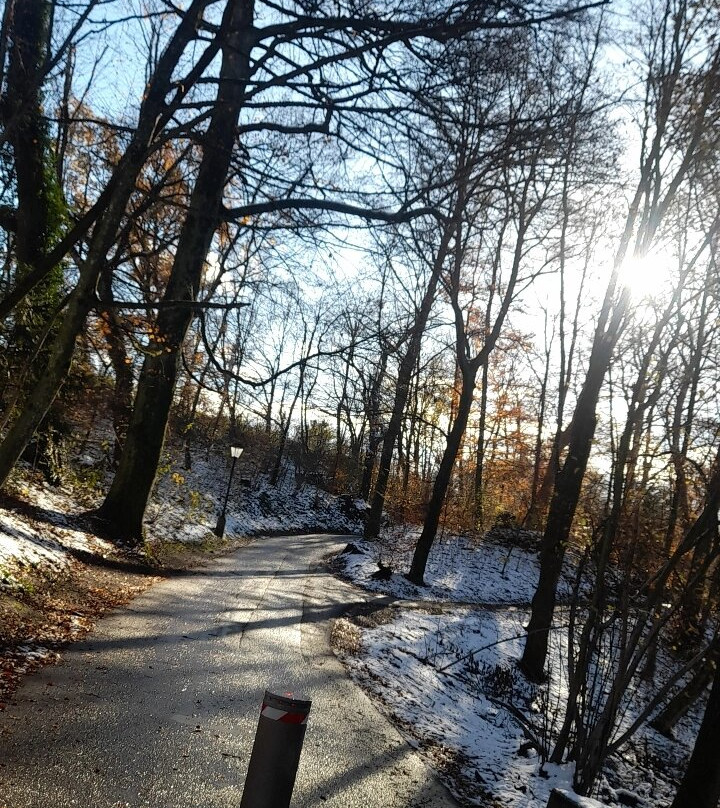 Müllner Kirche-萨尔茨堡必去景点