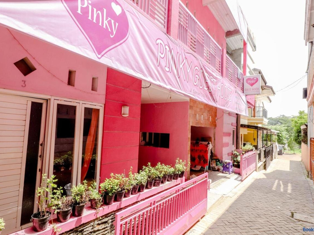 Pinky Guest House