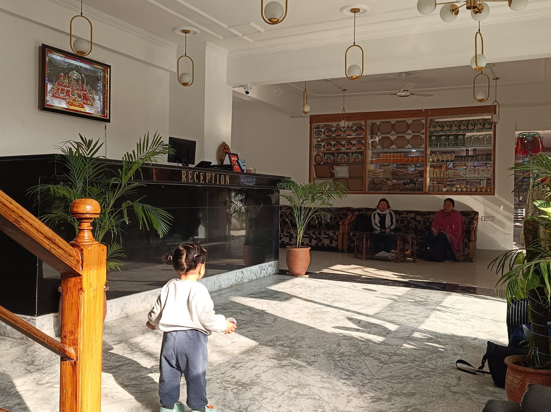 Hotel Maha Luxmi Palace主图