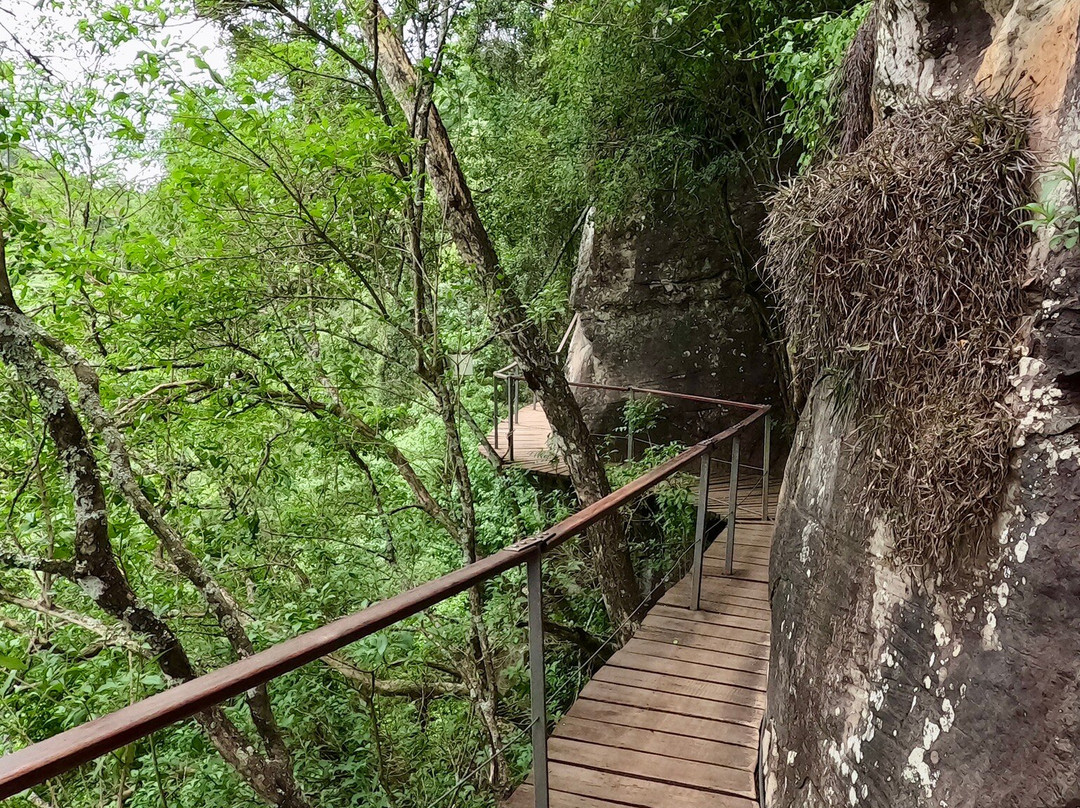 Drakensberg Canopy Tour-Cathkin Park必去景点