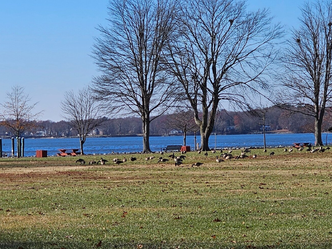 North East Community Park景点图片