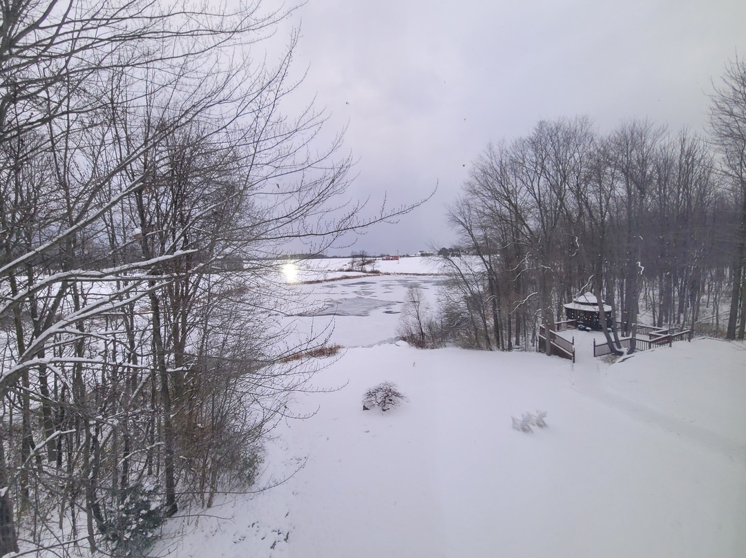 Castle In The Country Bed & Breakfast Inn主图