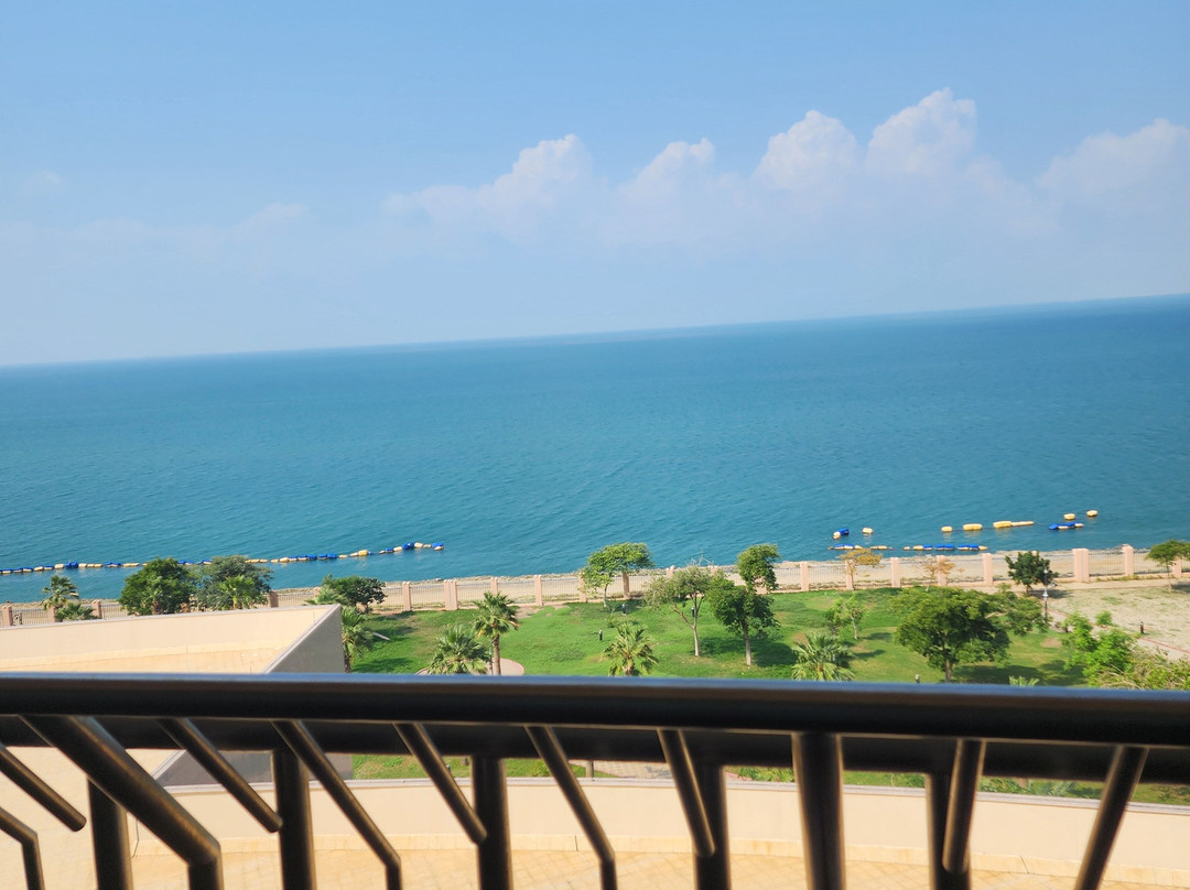 Grand Millennium Gizan主图