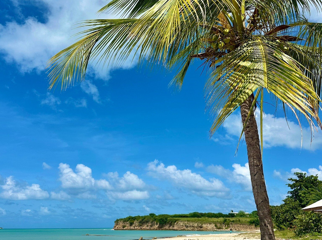 Fort James-圣 约翰必去景点