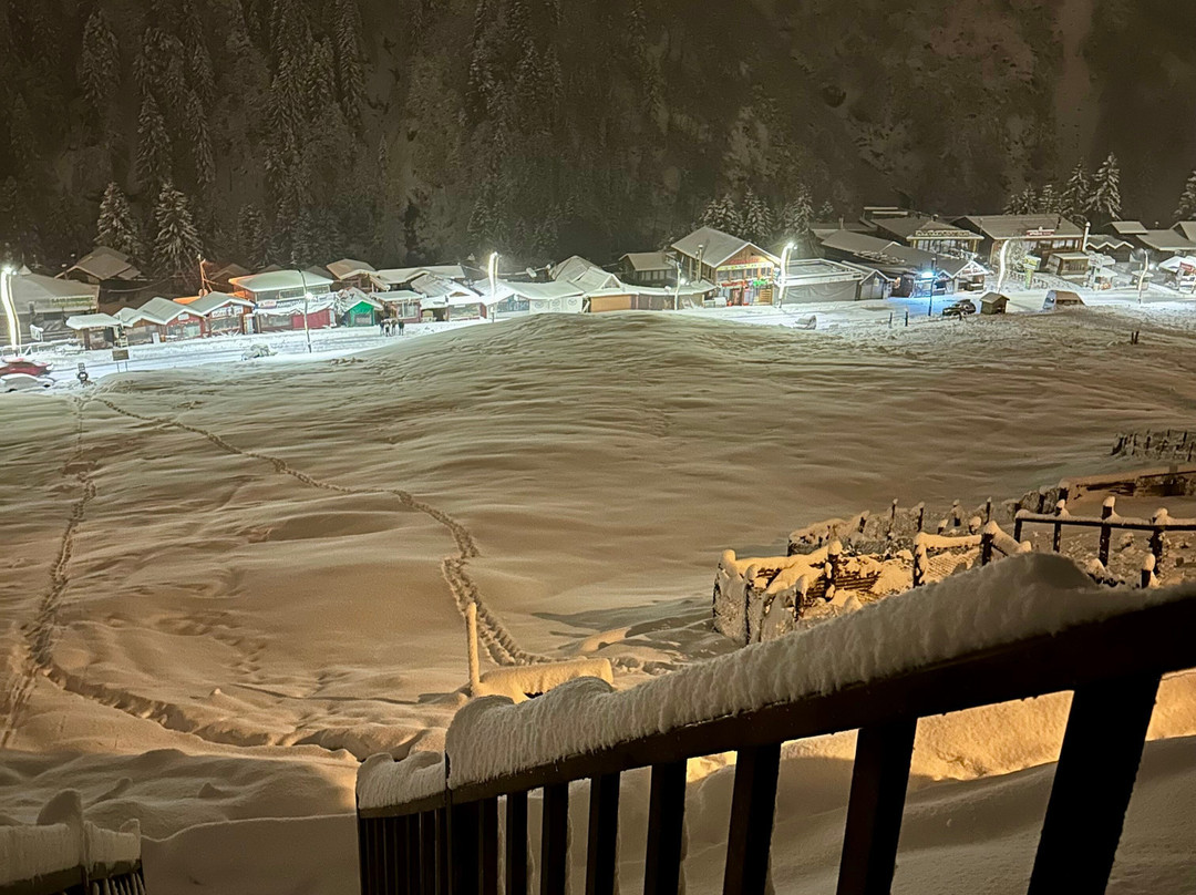 Ayder Villa de Pelit Hotel主图