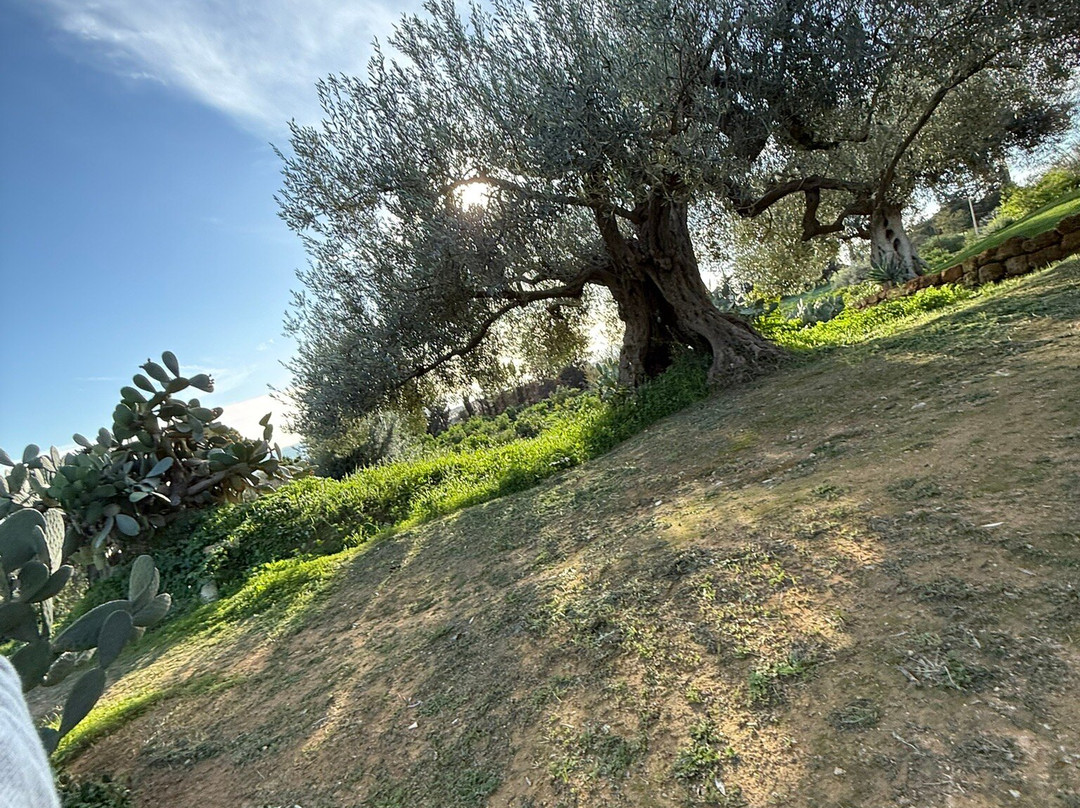 Il Giardino di Bonamorone景点图片