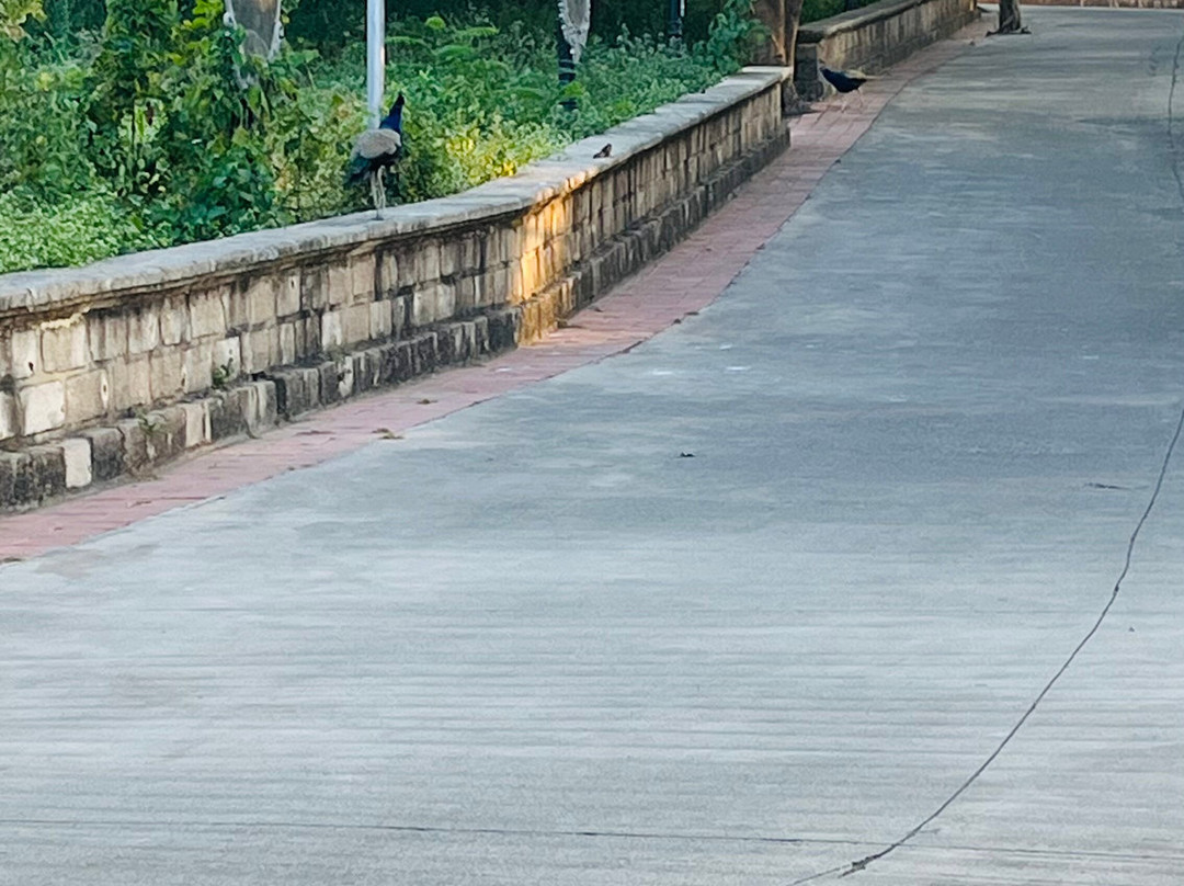 Uparkot-居那加德必去景点