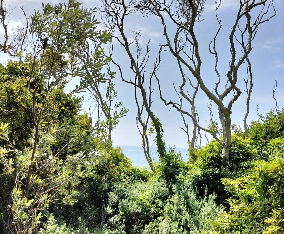 Barry Park景点图片