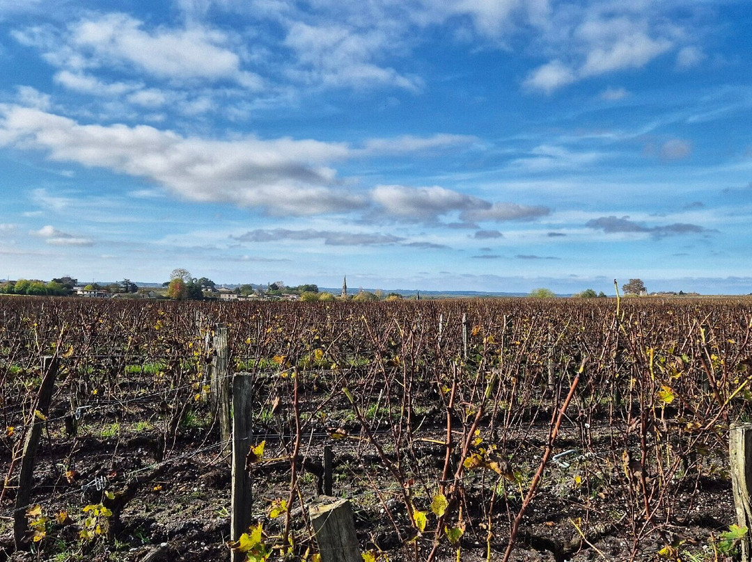 Chateau Guiraud-Sauternes必去景点
