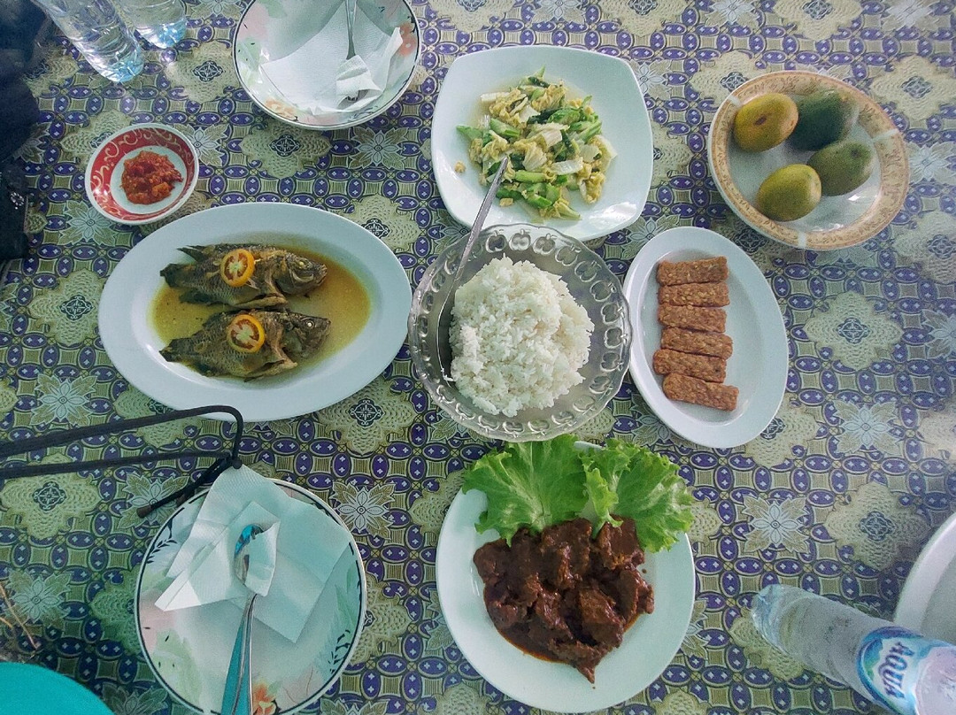 Orang Utan Kalimantan-Pangkalan Bun必去景点