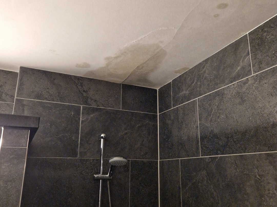 Bastion Hotel Zoetermeer主图