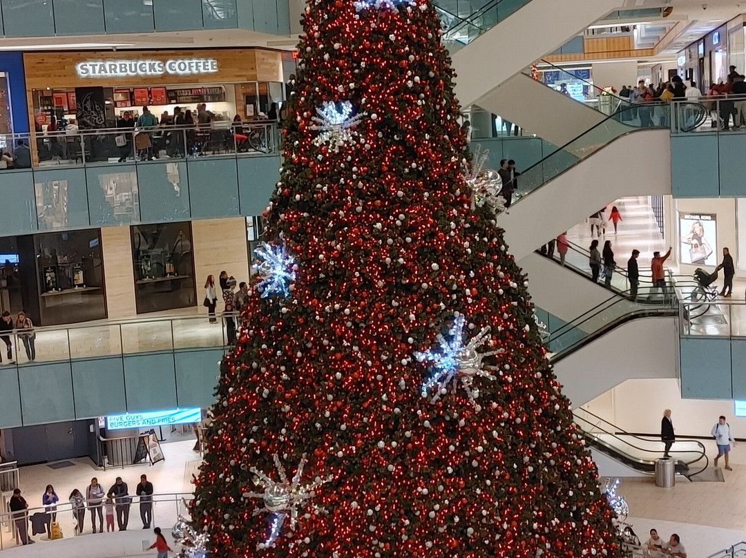 达拉斯商业街-达拉斯必去景点