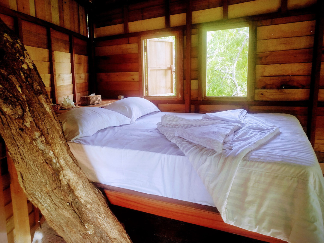 Six Degrees Off-grid