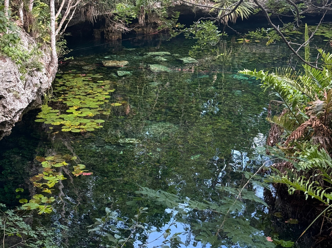 Cenote Nicte-ha-图伦必去景点