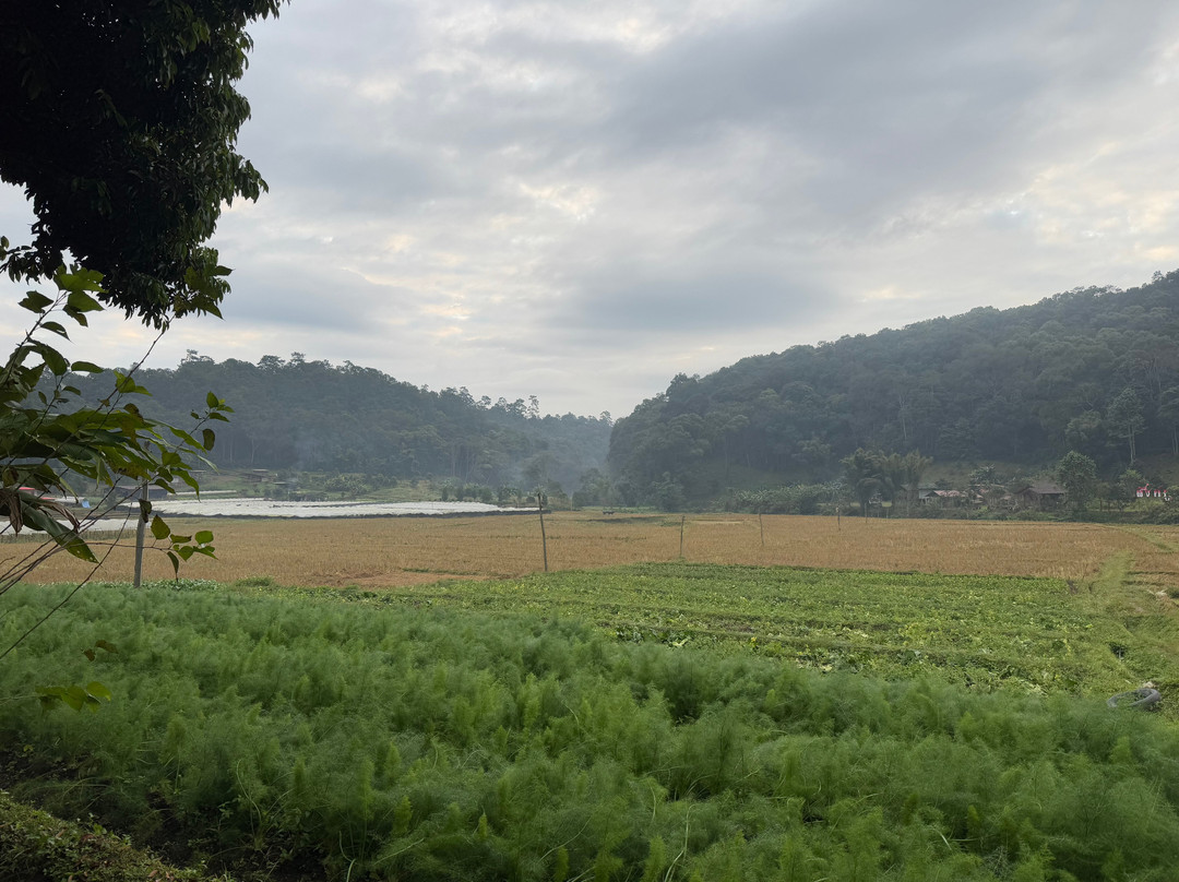 Bussadee Tour - Day Tours-山甘烹必去景点