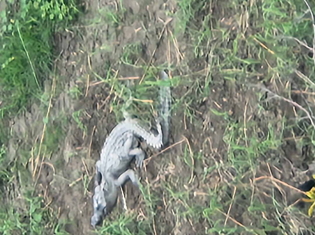 Holiday Inn & Suites Puerto Vallarta Marina & Golf By IHG主图