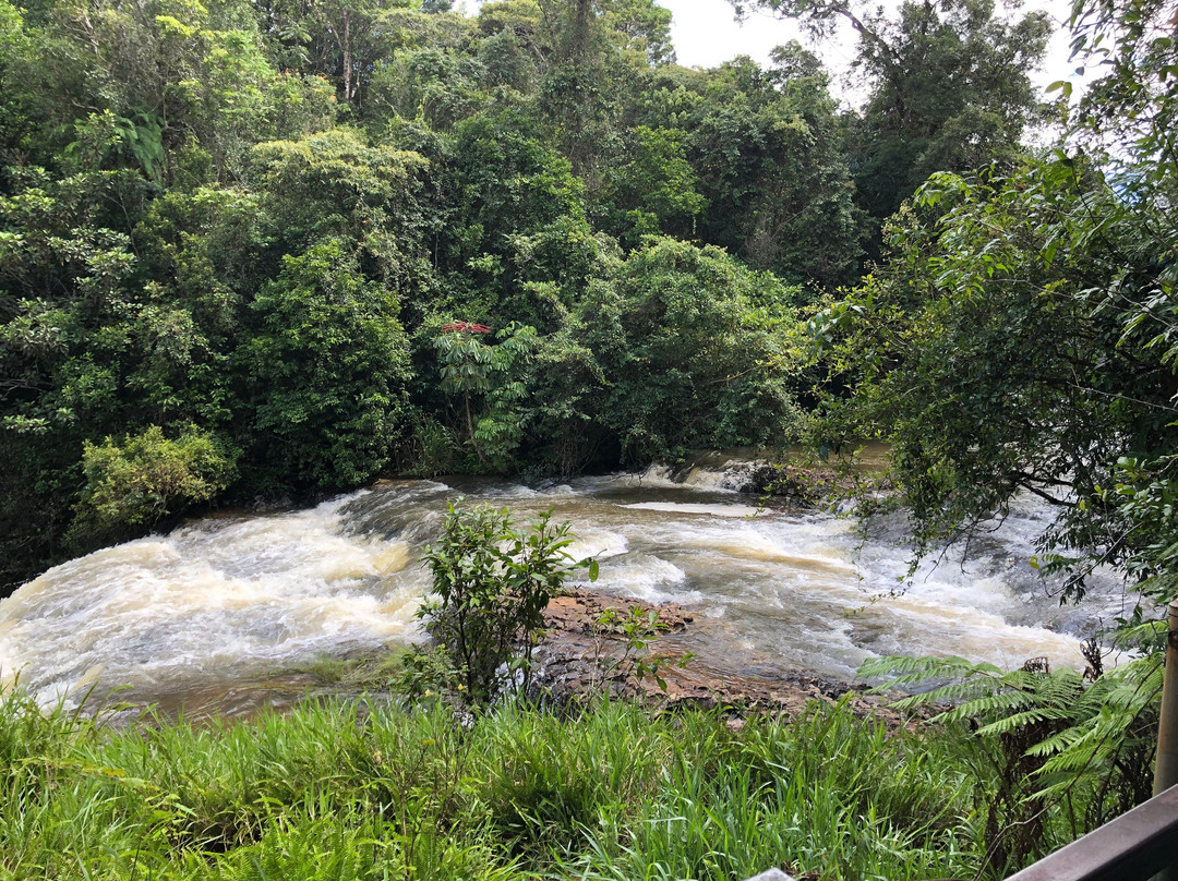 Zillie Falls-Millaa Millaa必去景点