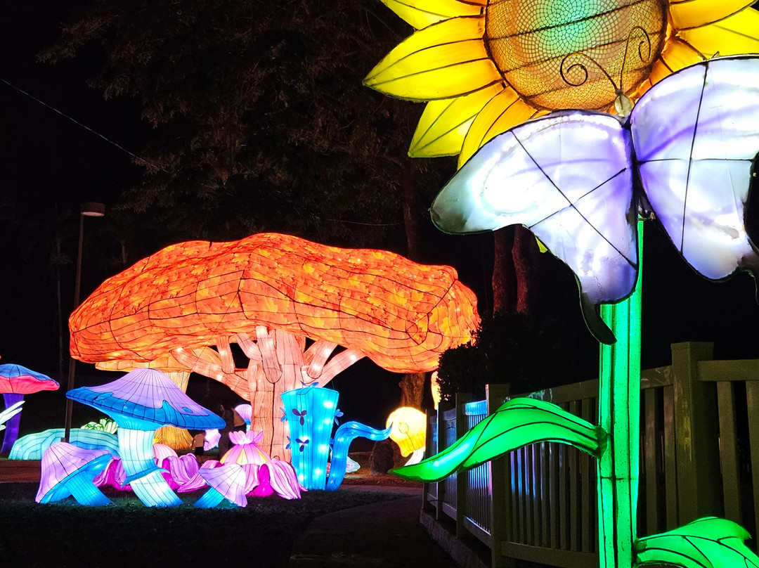 Parque De Las Ciencias By Toro Verde Power By Claro-Bayamon必去景点