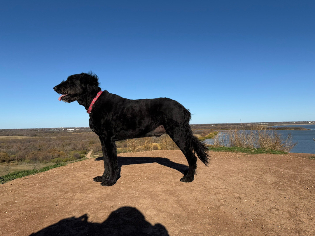 Lake Wichita Park景点图片