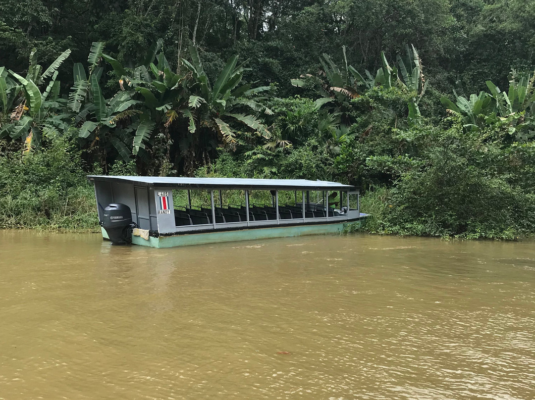 Tortuguero Canal景点图片