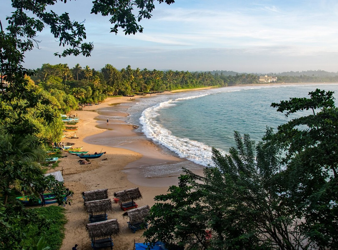 Freedom Resort主图