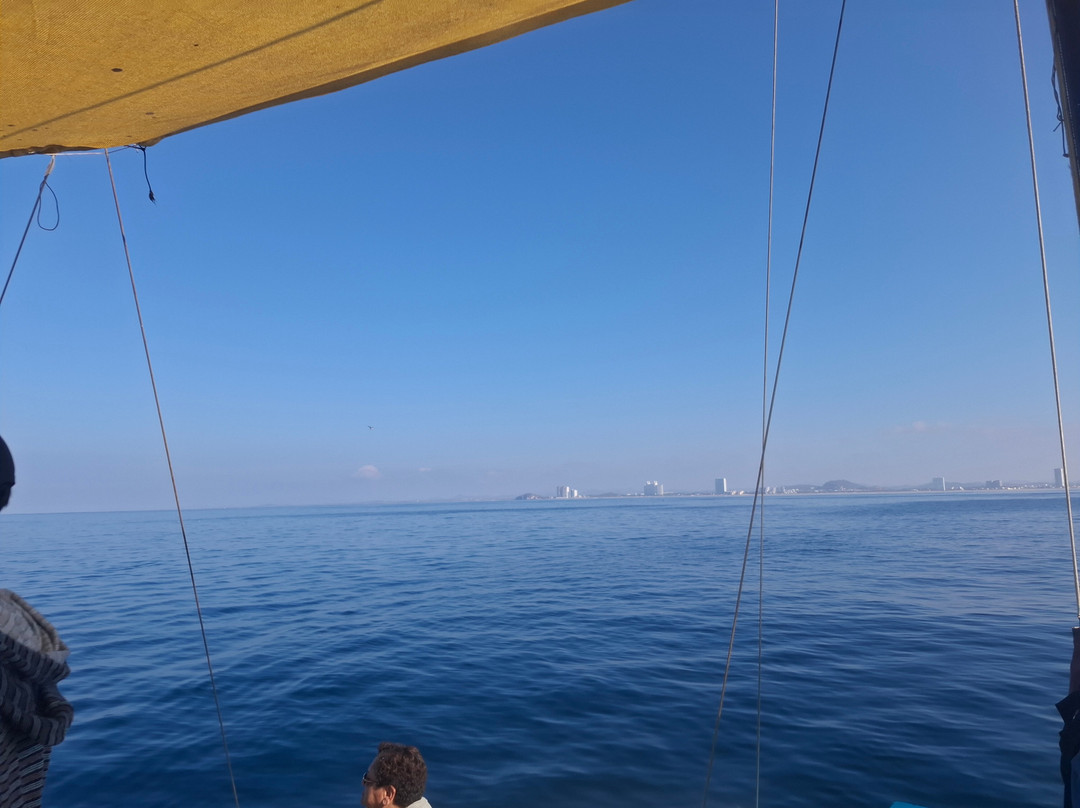 Aloha Trimaran-马萨特兰必去景点