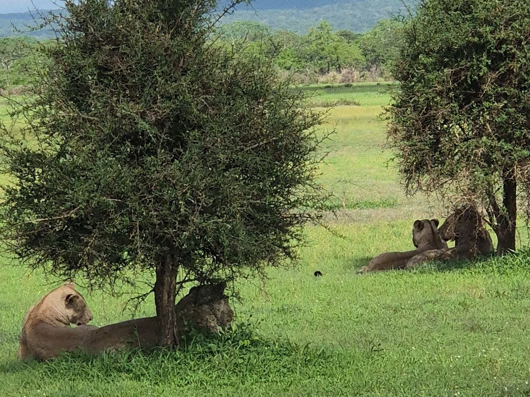 Ameir Tours and Travel-桑给巴尔市必去景点