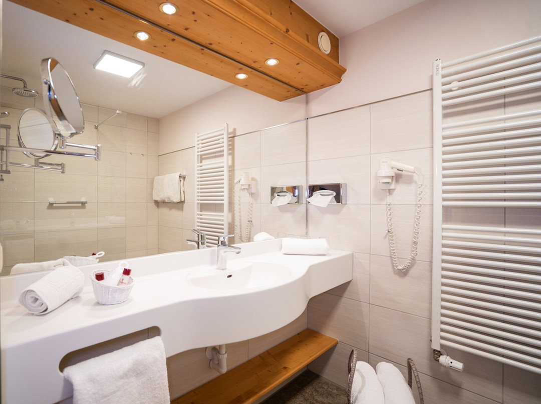 Hotel Alpengasthof Loewen主图