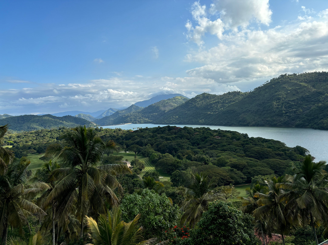 The Albatross, Kandy主图