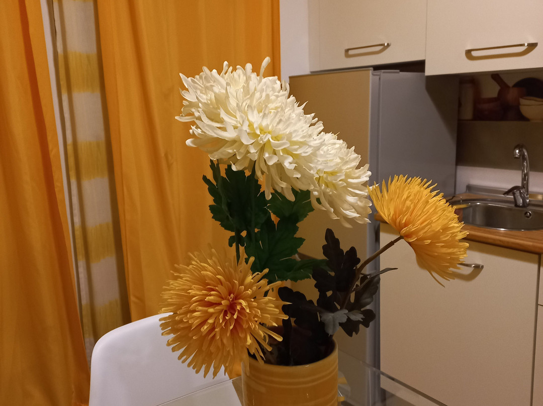 科索圣阿尔宾公寓