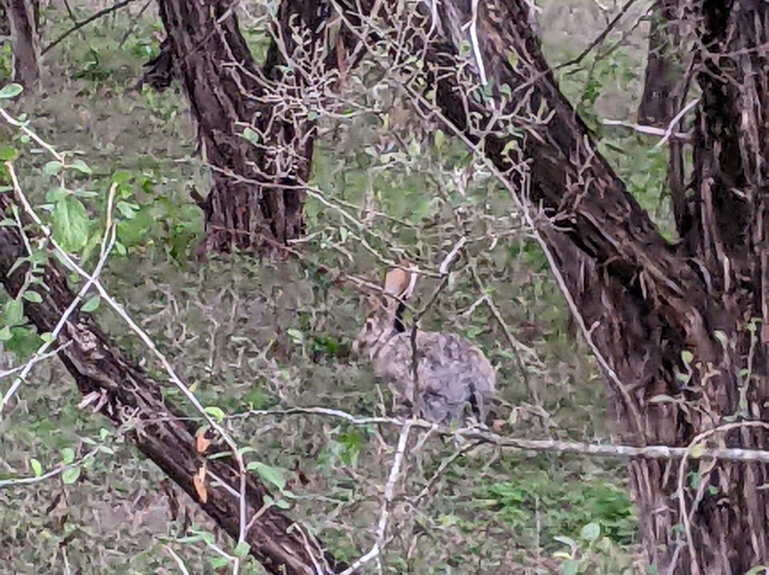 Garner State Park-Concan必去景点