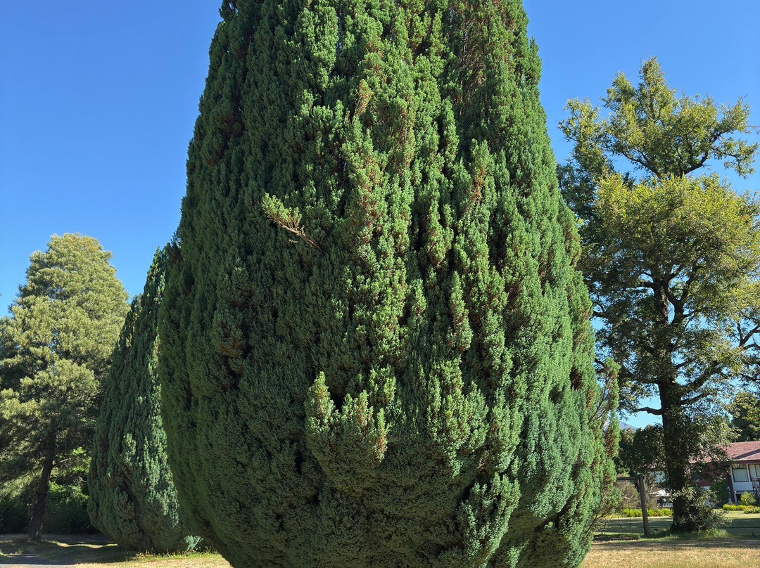 Hotel Pucon Green Park主图